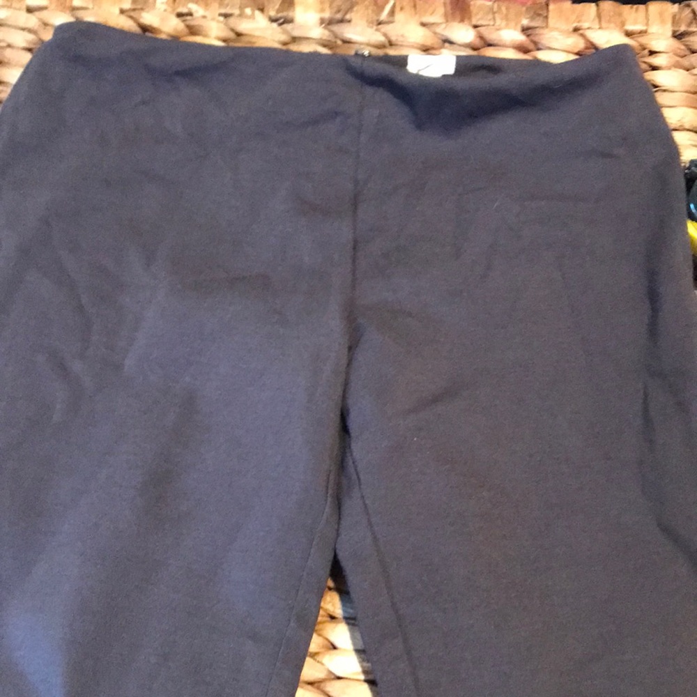 Dark grey legging type or riding pant. Soft fabric